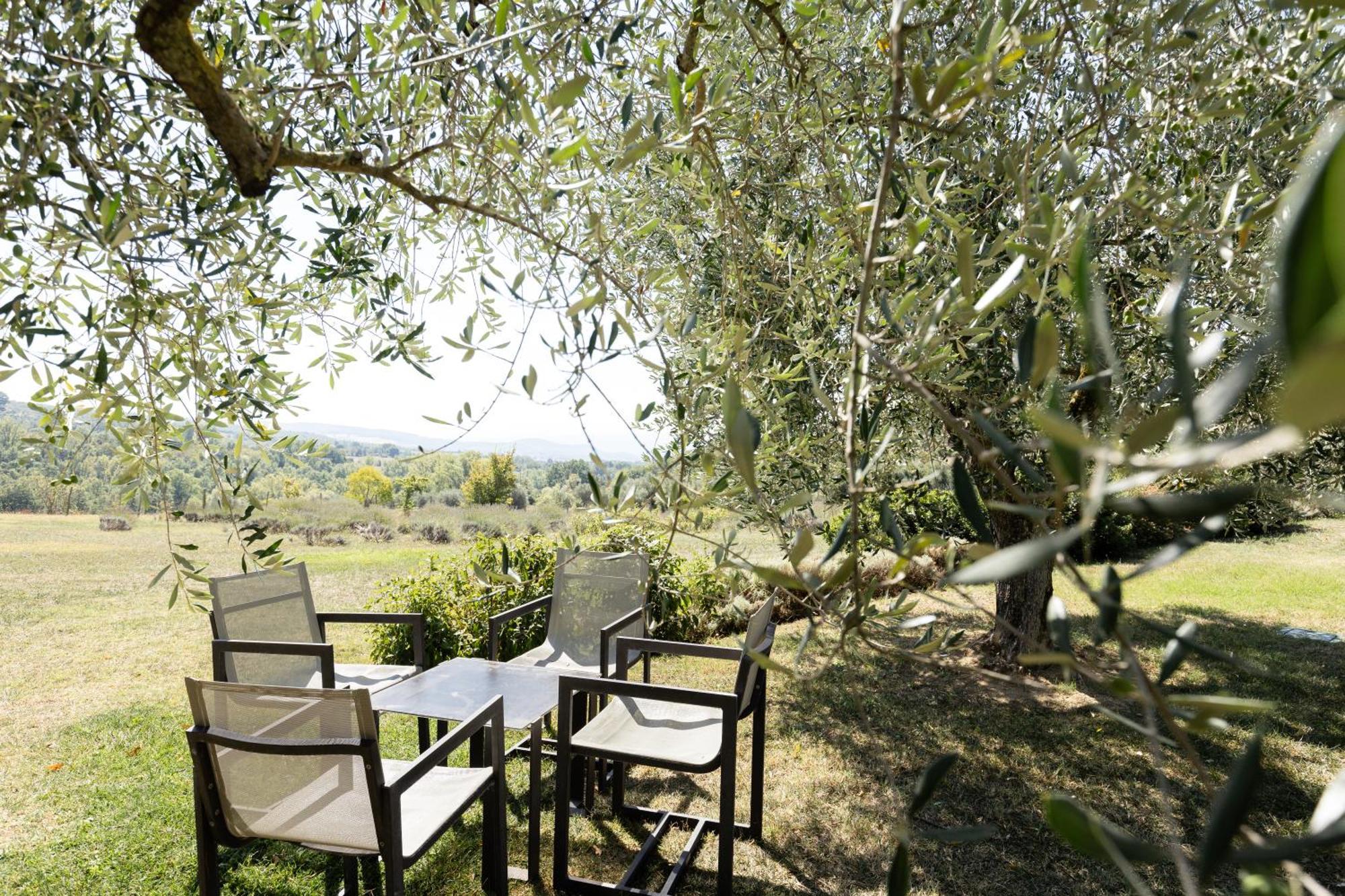 Tenuta Ponziani Wine Resort&Spa Morrano Exterior foto